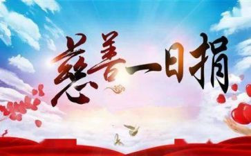 一日捐活动方案7篇