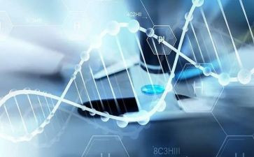医学生个人总结和工作总结最新8篇