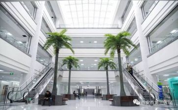 医院科工作计划模板6篇