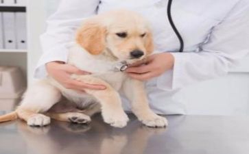 医院工作自我鉴定范文7篇