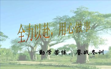 用心的作文8篇