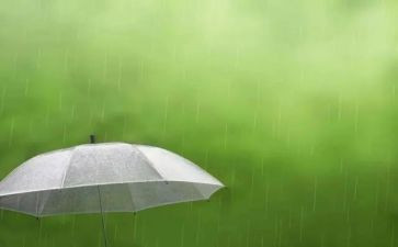 在雨中的事作文优质6篇