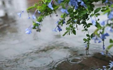 读《小英雄雨来》读后感400字5篇