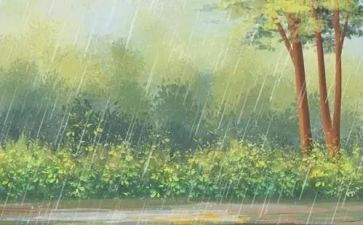 雨水管安装合同7篇