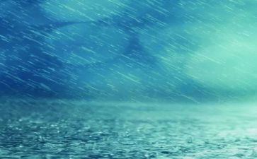 我最爱雨作文优质7篇