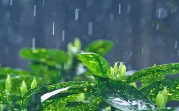 在雨中的事作文优秀7篇