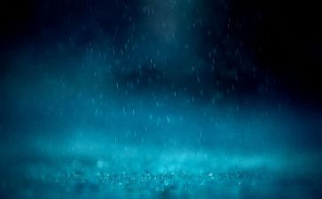在雨中作文300字5篇