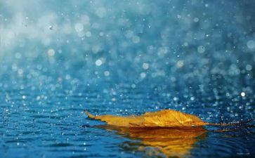 英雄雨来的读后感300字7篇