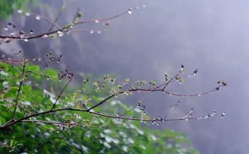 中班雨教案反思优秀8篇