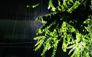 梅雨天作文6篇