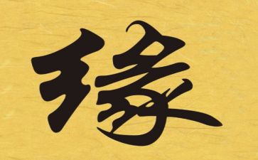 我与书的缘作文推荐7篇