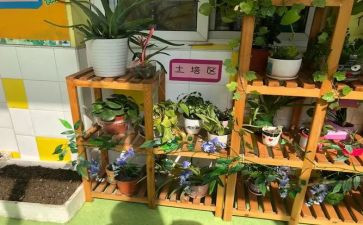 幼儿园培训师工作计划优秀8篇