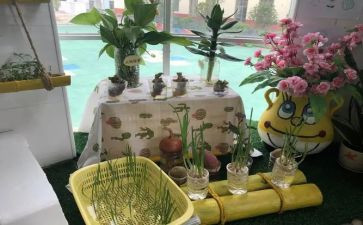 园培计划心得体会7篇