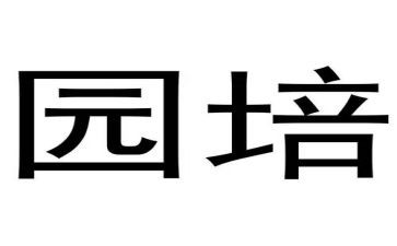 幼儿园培训班心得体会5篇