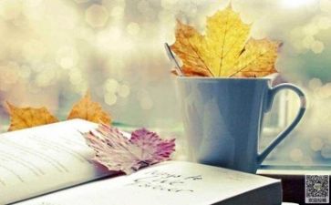 教师阅读心得体会范文6篇