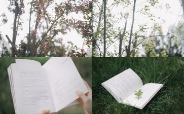 学校阅读活动方案6篇
