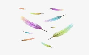 打羽毛球的心得体会7篇