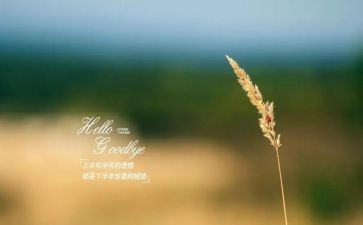 和拖拉说再见读后感8篇