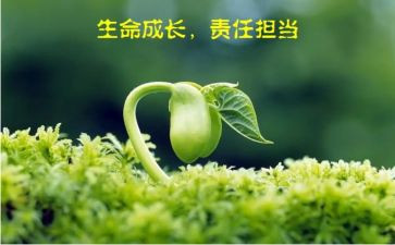 教师的责任与担当演讲稿8篇