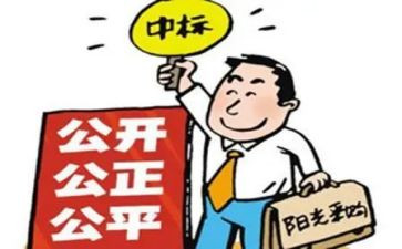 招标工作个人年终总结8篇