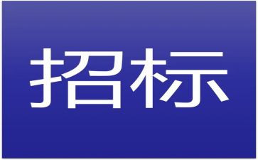 招标工作的个人总结8篇