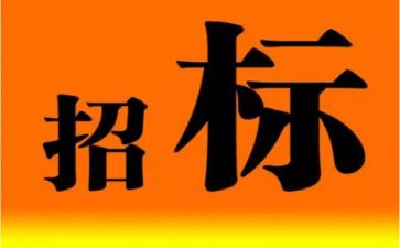 市招标办工作总结7篇