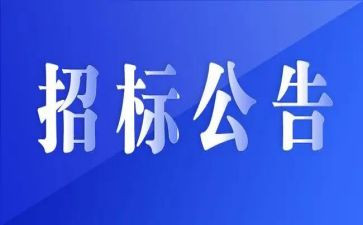 非招标采购工作总结7篇