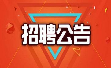 颍上招聘工作总结通用5篇