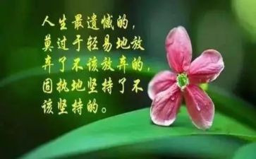 哲理作文精选7篇