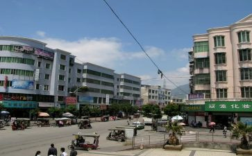 镇联村干部述职报告模板5篇