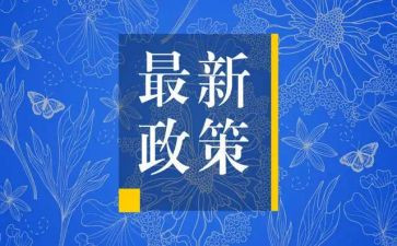 双减政策下的心得体会优质8篇