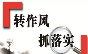 双整顿心得体会通用6篇