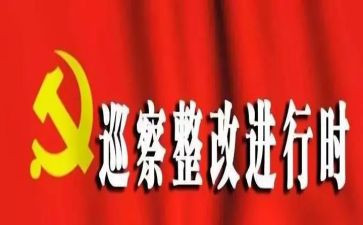 省巡视整改报告8篇