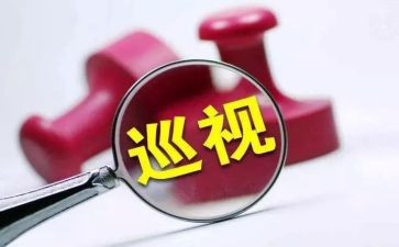 中央巡视整改报告5篇