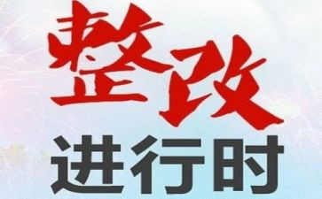 316整改报告模板6篇
