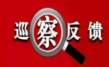316整改报告推荐6篇