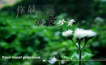 友谊最珍贵作文500字8篇