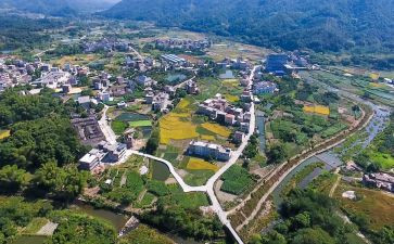 培训乡村振兴心得体会8篇