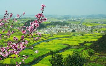 2024年乡村振兴总结报告8篇