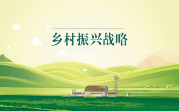 村乡村振兴专干工作总结6篇