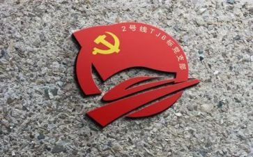 党支部的工作总结最新6篇