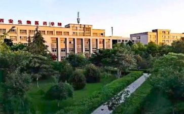 职高班主任工作计划5篇