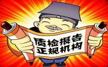 质检所个人述职报告8篇