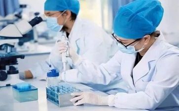质量月工作总结报告8篇