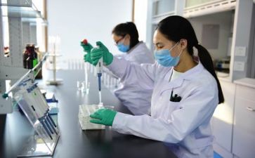 质量员个人述职报告5篇