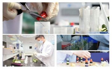 质量月质量工作计划通用7篇