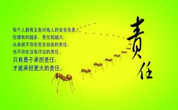 履行推进法治建设责任人职责述职报告5篇