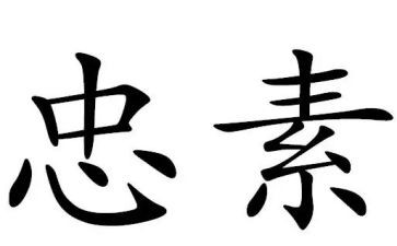 忠的感悟心得体会优质6篇
