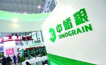 2024年中储粮工作总结8篇