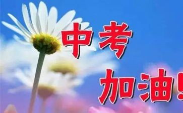 写2024年我的中考作文600字5篇